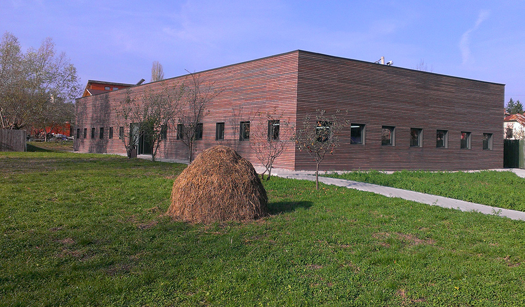 Proiecte